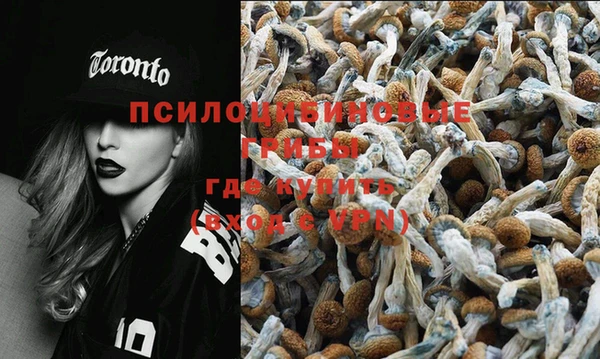 не бодяженный Вязники
