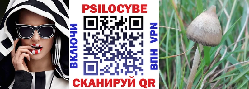 где можно купить   Зубцов  Псилоцибиновые грибы ЛСД 