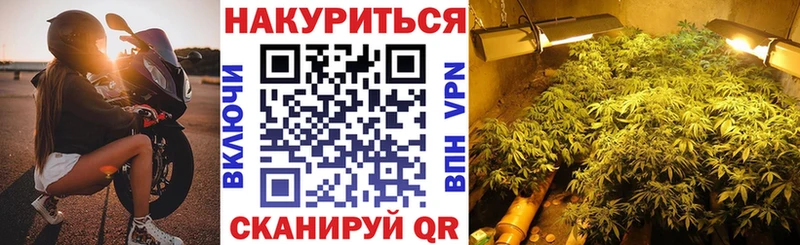 ссылка на мегу ссылка  Зубцов  Каннабис VHQ 